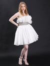 Dancing Moonlight Ensemble